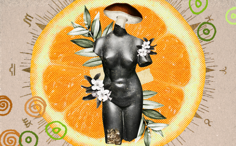 Conjunção Sol–Vênus: quando a vida pede mais prazer, beleza e verdade