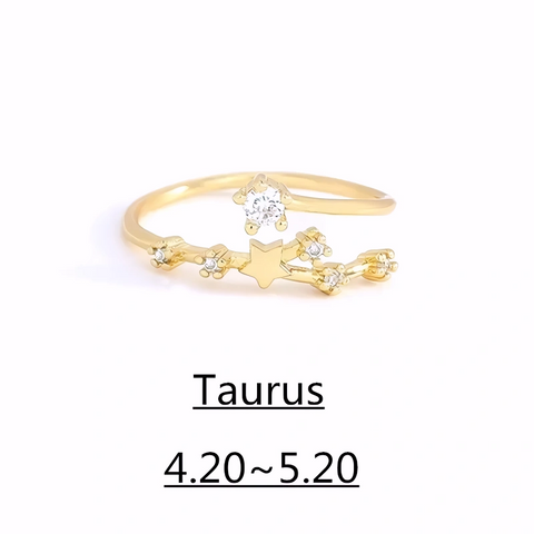 Zodiac Ring – 18K Gold Plated Adjustable – Available in gold or silver