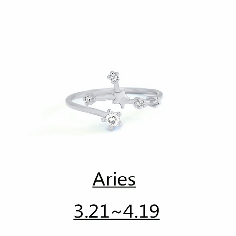 Zodiac Ring – 18K Gold Plated Adjustable – Available in gold or silver
